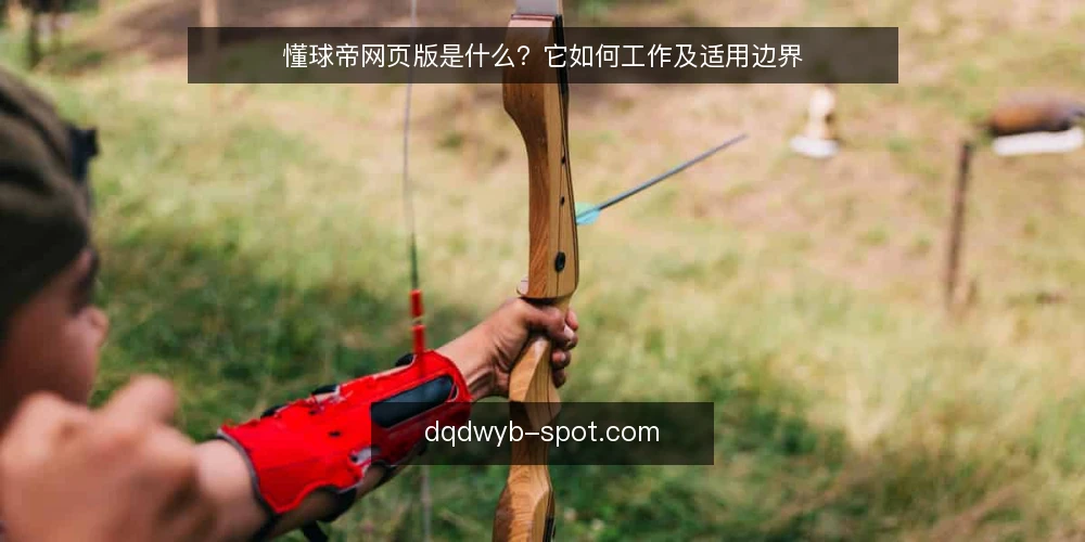 懂球帝网页版是什么？它如何工作及适用边界 — 懂球帝网页版是什么？ 配图