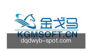 懂球帝网页版