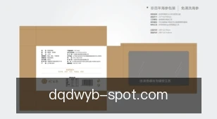 懂球帝网页版